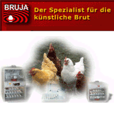 Brutmaschinen-Janeschitz GmbH