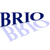 BRIO Kontrollspiegel GmbH