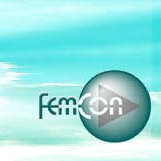 Femcon GmbH
für Strukturanalysen