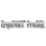 Ergo Soft
Softwareentwicklung GmbH