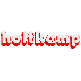 Manfred Holtkamp Elektronik GmbH