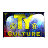 TY-culture