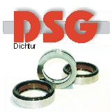 DSG-Dichtungs-Service GmbH
